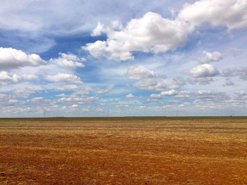 Areas of agribusiness expansion in the state of Bahia.